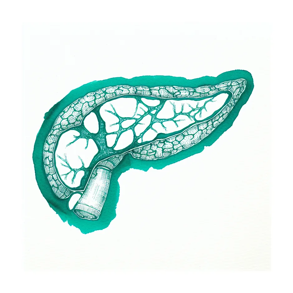 مصرف همزمان دو قرص متفورمین در روزه‌داری