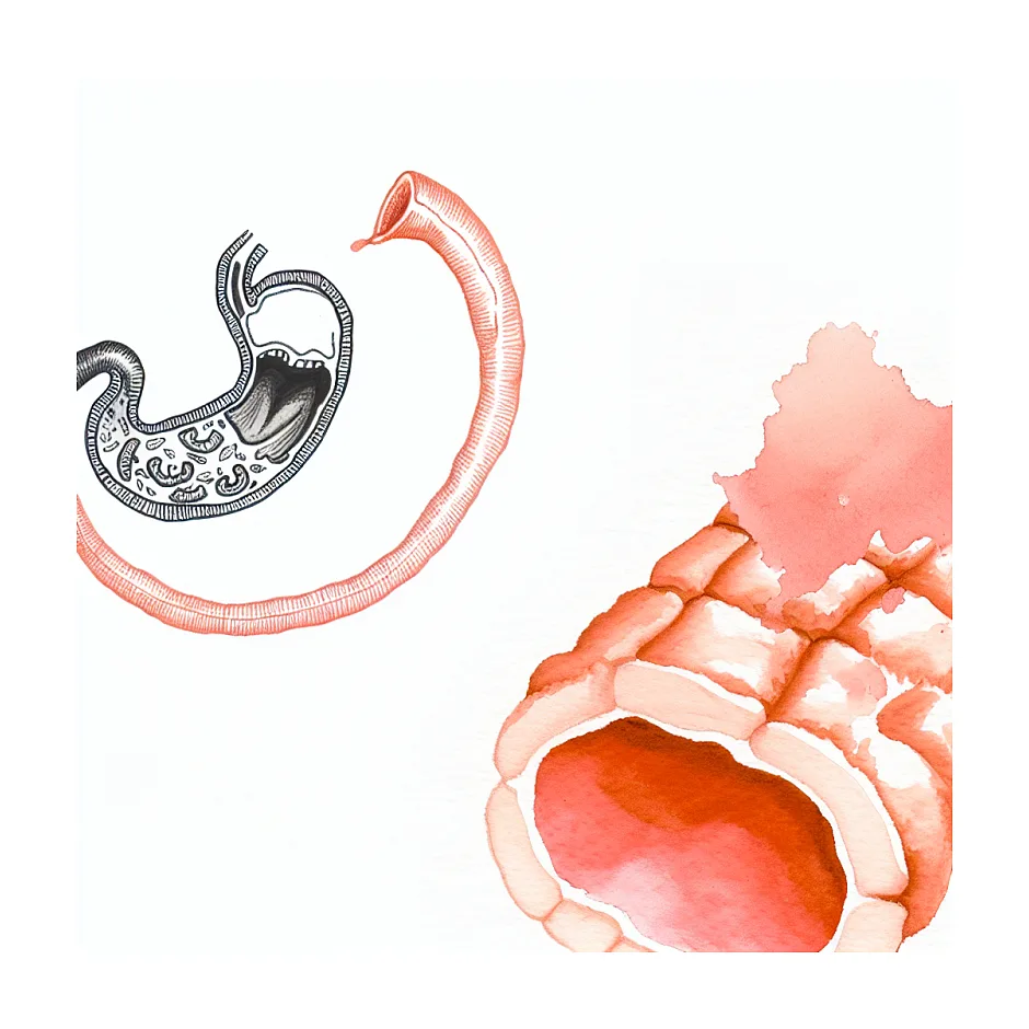 دادن موز به نوزاد ۶ ماهه؛ آیا ایمن است؟