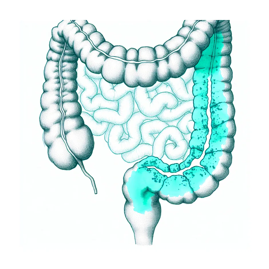 علت بوی بد مدفوع و راه‌های کاهش آن