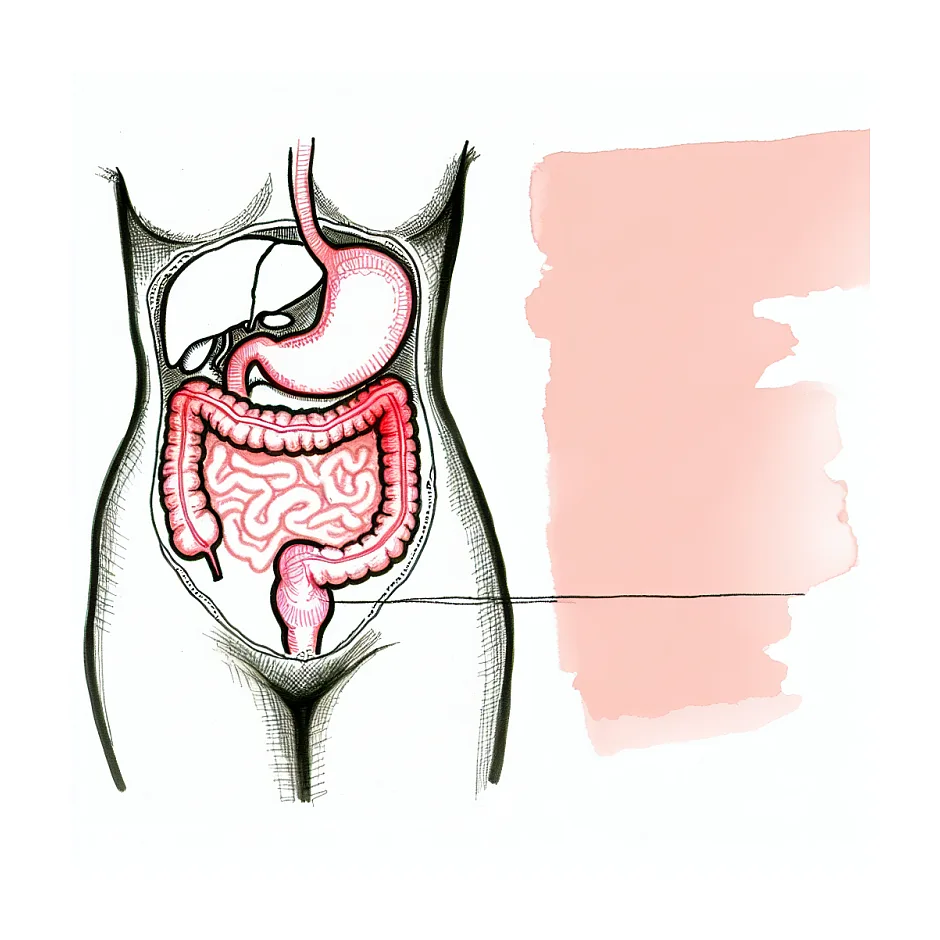علت و درمان بزرگی شکم در دختران مجرد