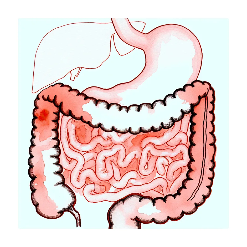 تداخل آموکسی‌سیلین با آسپرین در بارداری