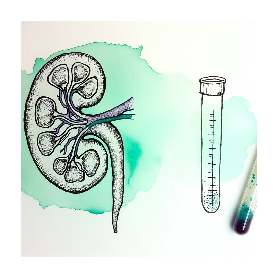 مدت زمان قطع استامینوفن‌کدئین قبل از آزمایش اعتیاد