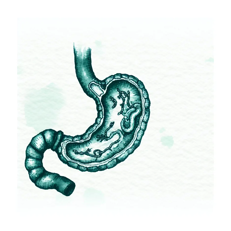 علت تهوع و ضعف همراه گرسنگی چیست؟