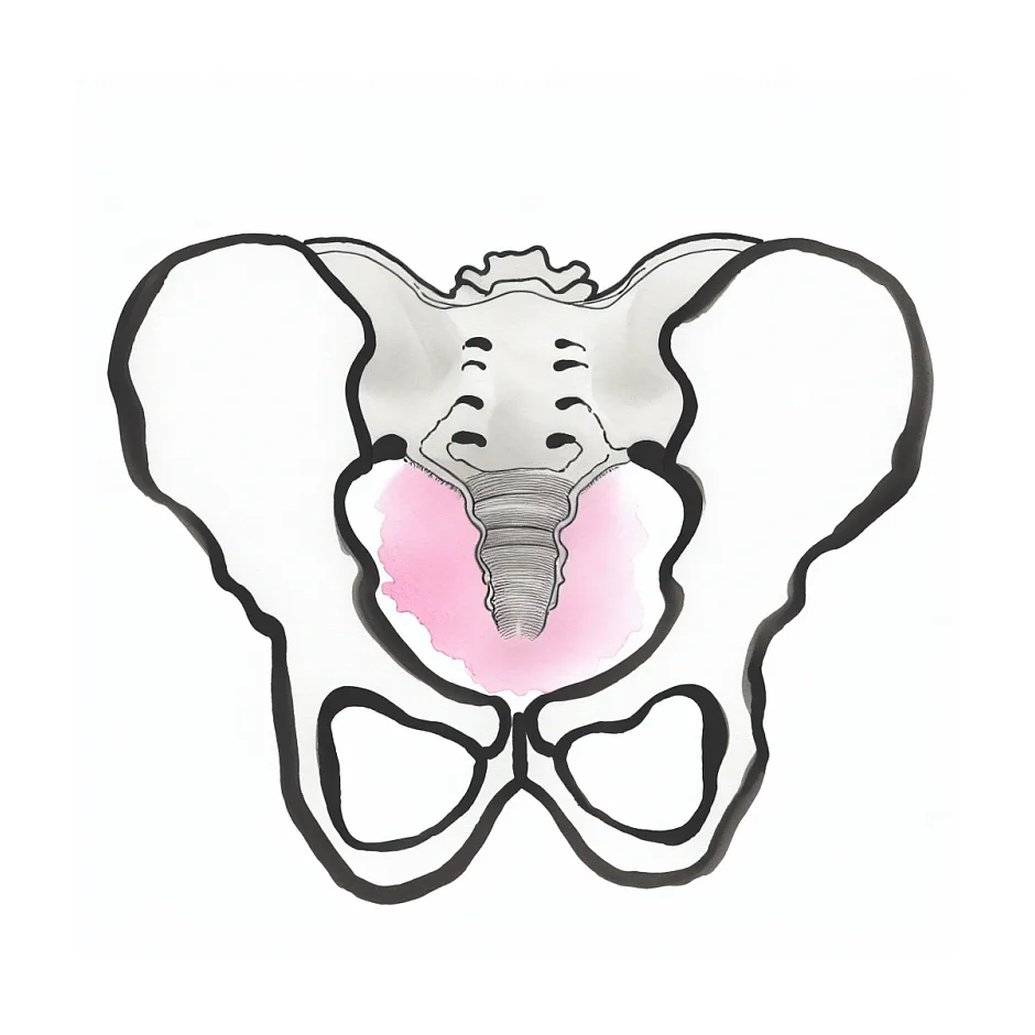 درد کشاله ران در هفته ۳۹ بارداری؛ زایمان است؟